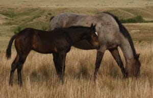 photo taken end of August