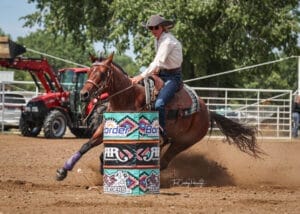 Bay roan barrel mare and Montana ranch horse for sale