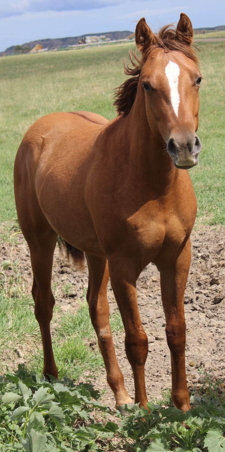 MRI Advantage – sold