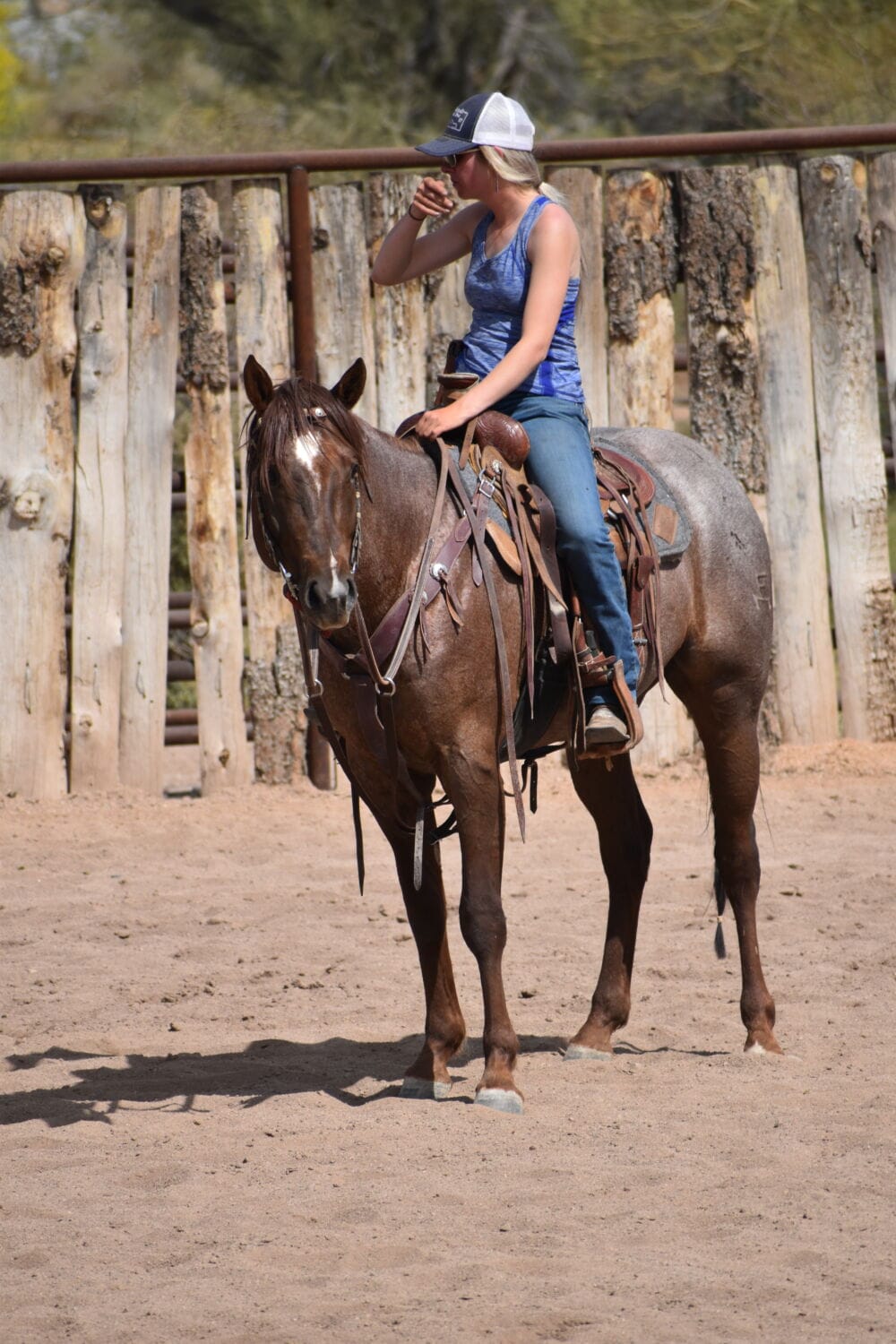 2018 Red roan stallion. Sire: Freckles Ta Fame. Dam: Streakin French Grey Streak of Fling x French TJ Grey