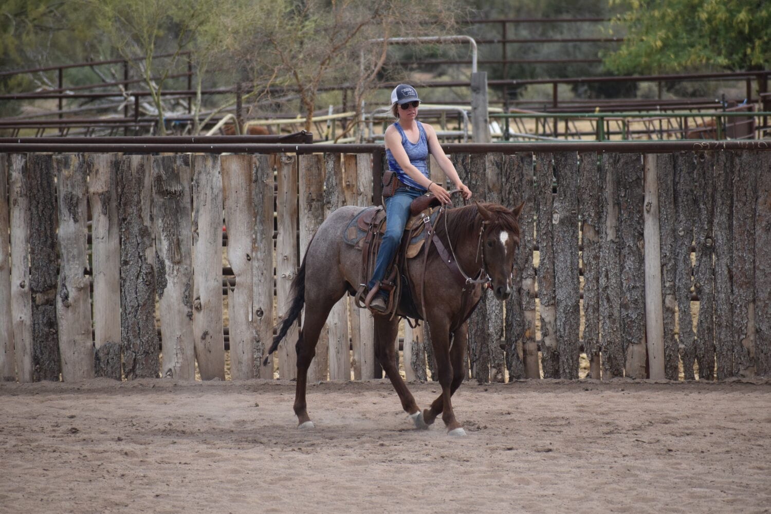 2018 Red roan stallion. Sire: Freckles Ta Fame. Dam: Streakin French Grey Streak of Fling x French TJ Grey