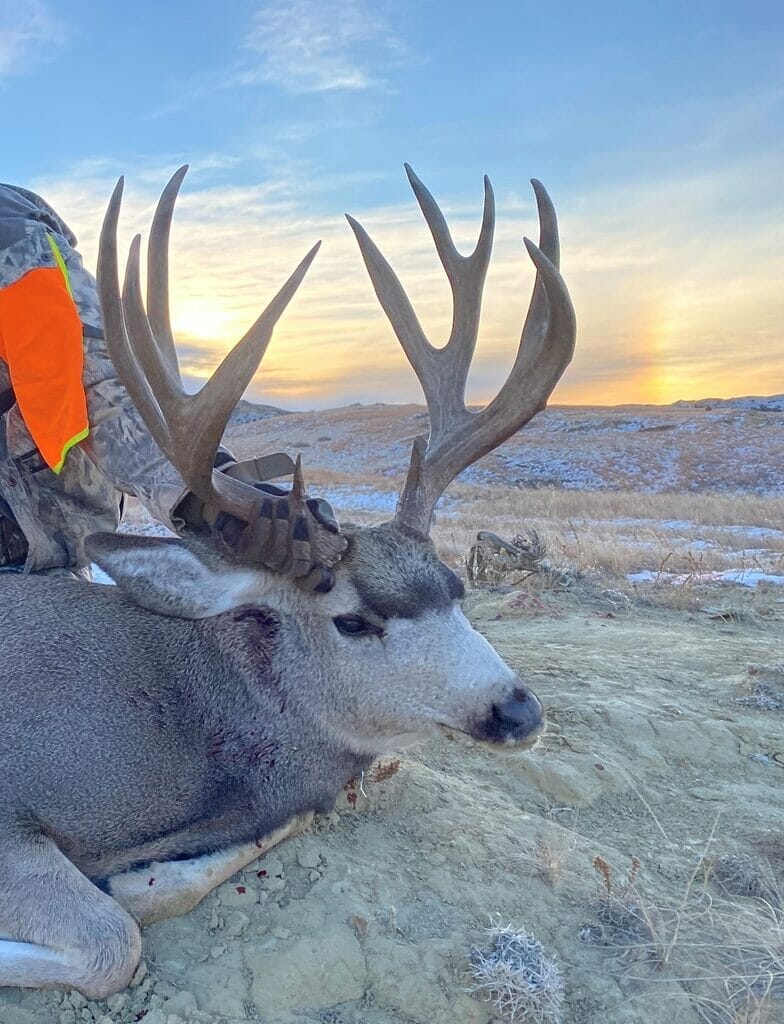 deer hunting,antelope hunting,bird hunting,wild turkey hunting,big game hunting adventures,hunting in Montana