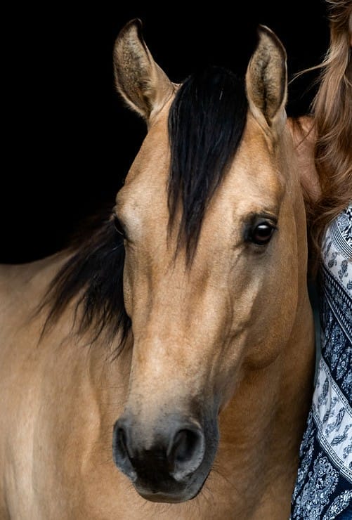 LHR Dun Vintagesmoke head 2025