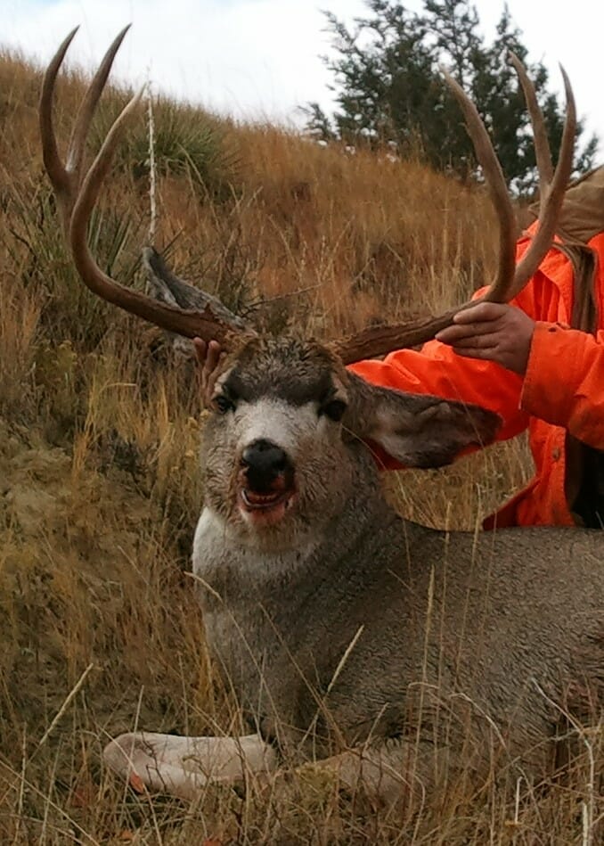 deer hunting,antelope hunting,bird hunting,wild turkey hunting,big game hunting adventures,hunting in Montana