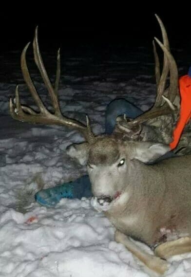 deer hunting,antelope hunting,bird hunting,wild turkey hunting,big game hunting adventures,hunting in Montana