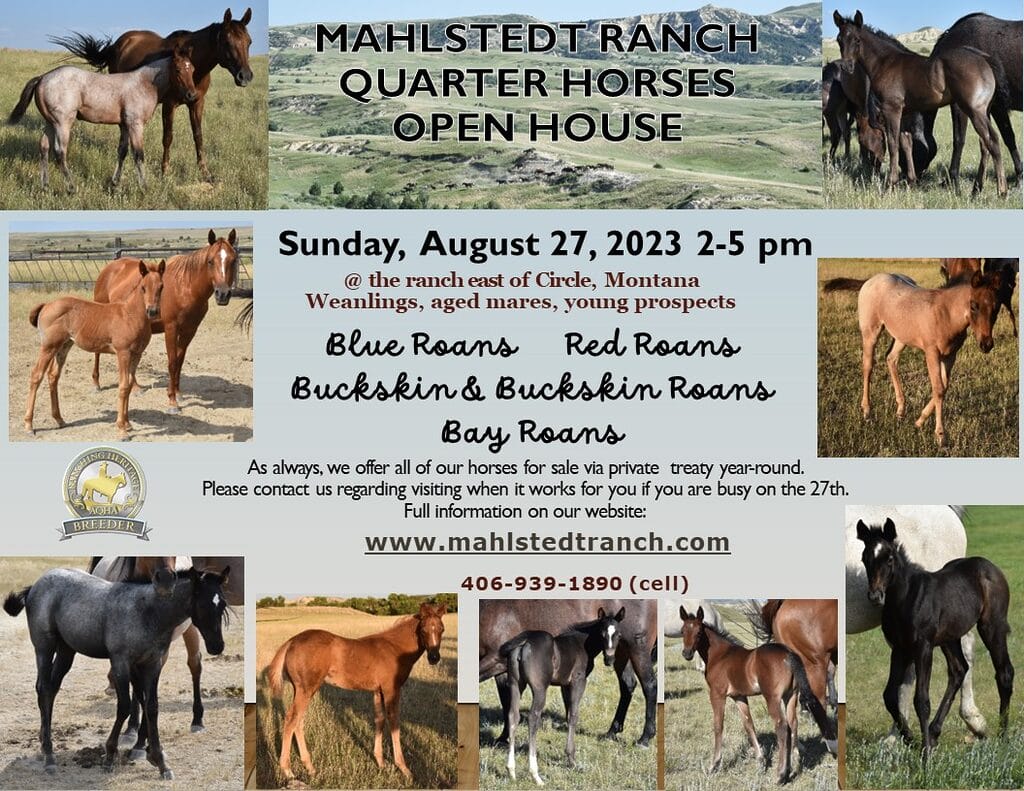 Mahlstedt Ranch 2023 Open House
