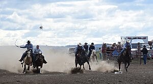 MRI Perky Blue winning the Terry Horse Race