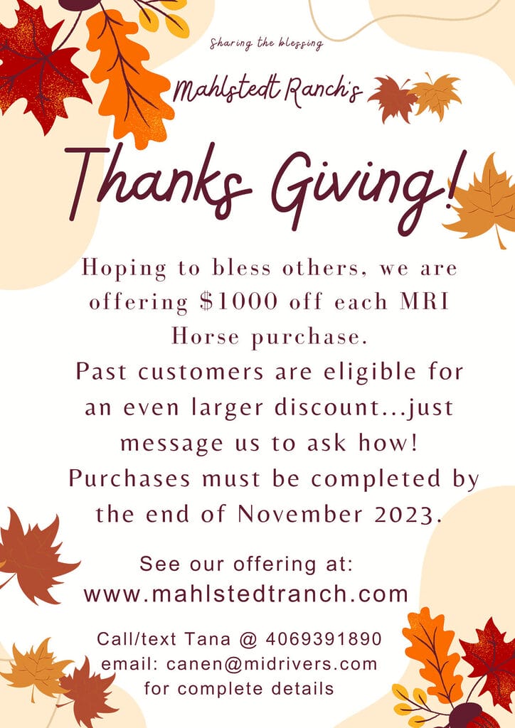 Our November Thanks Giving offer poster