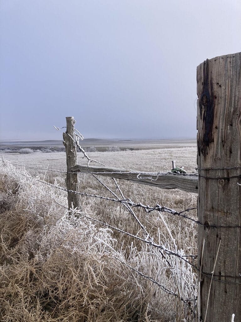 Remote fence with frost on a corner brace with barbed wire.