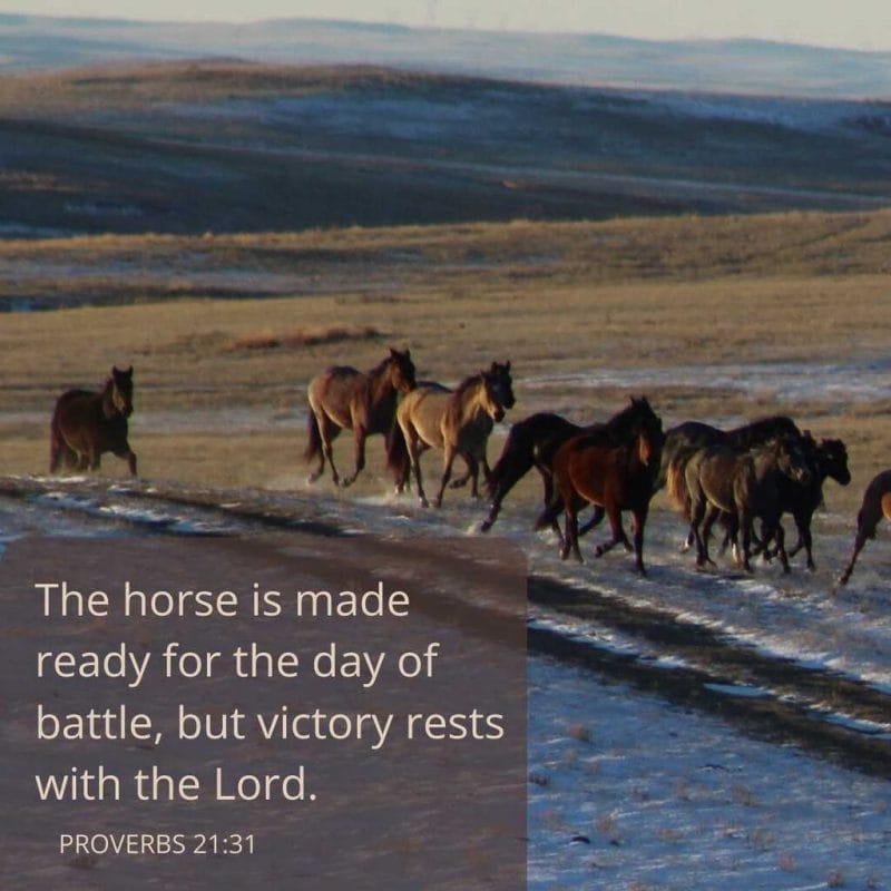 Trailing horses photo with Bible quote.