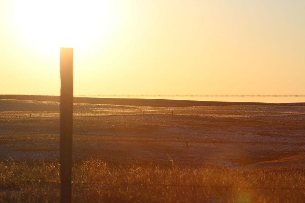 Photo of a pasture with a fence post bathed in a yellow hue from a setting sun.