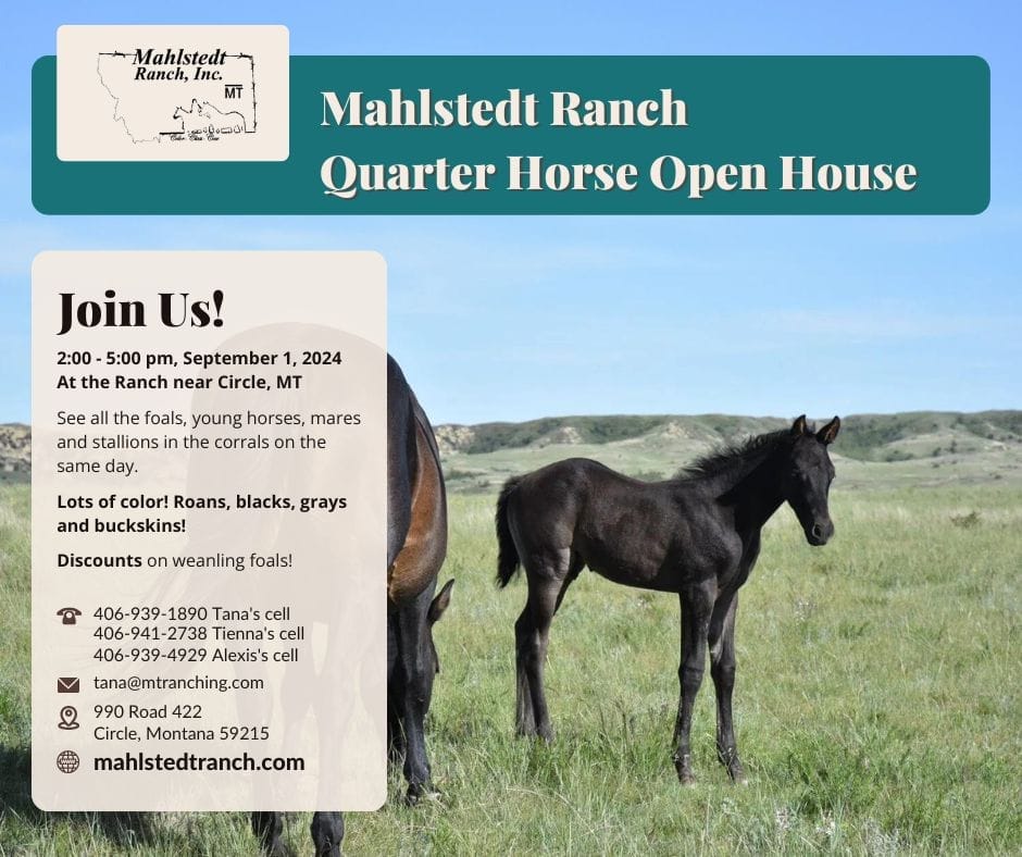 Mahlstedt Ranch 2024 Open House