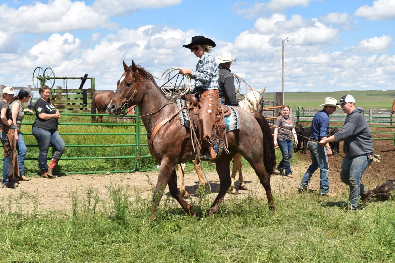2018 Red roan stallion. Sire: Freckles Ta Fame. Dam: Streakin French Grey Streak of Fling x French TJ Grey