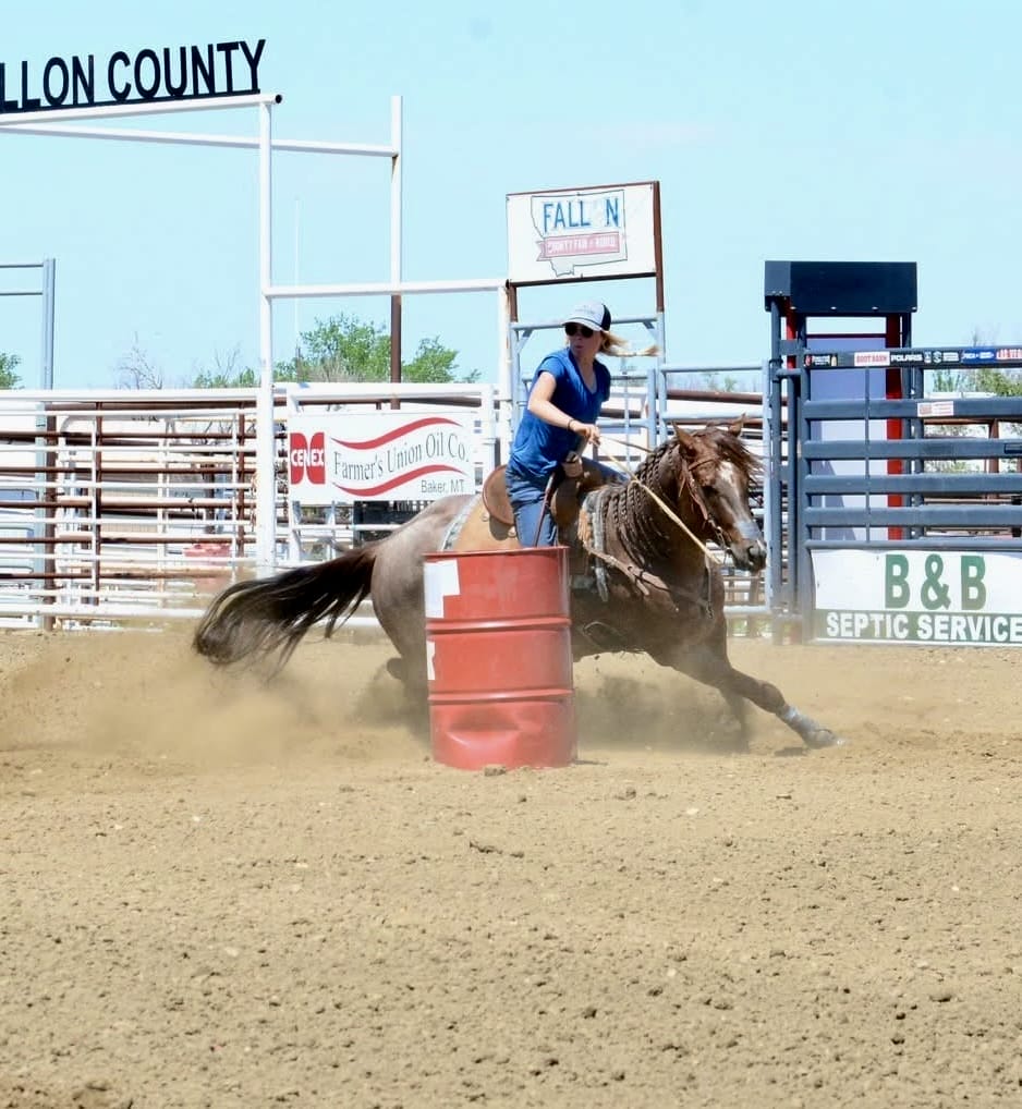2018 Red roan stallion. Sire: Freckles Ta Fame. Dam: Streakin French Grey Streak of Fling x French TJ Grey