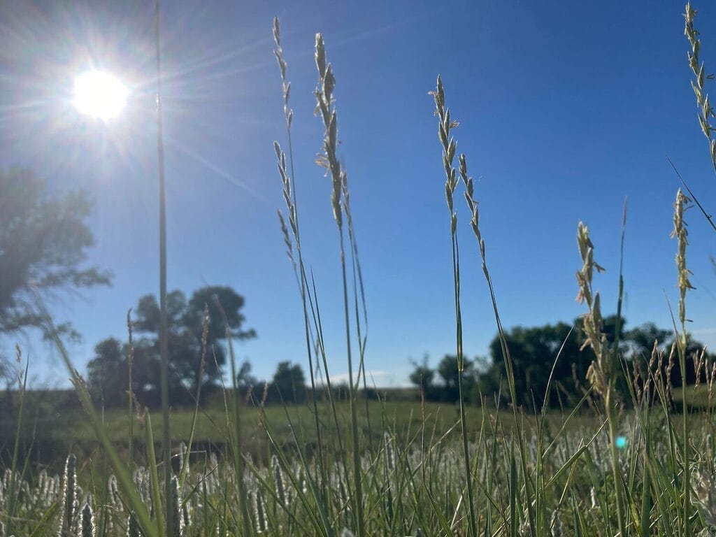 ranch wedding venue,montana wedding venue,rustic wedding venue,destination wedding venue