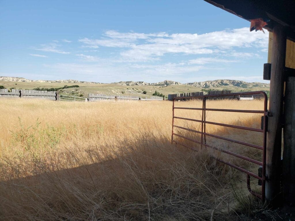 Facilities for your horses at the Mahlstedt Ranch wedding venue at Jord's House.