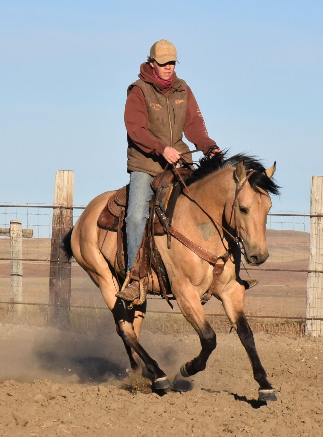 2018 Red roan stallion. Sire: Freckles Ta Fame. Dam: Streakin French Grey Streak of Fling x French TJ Grey