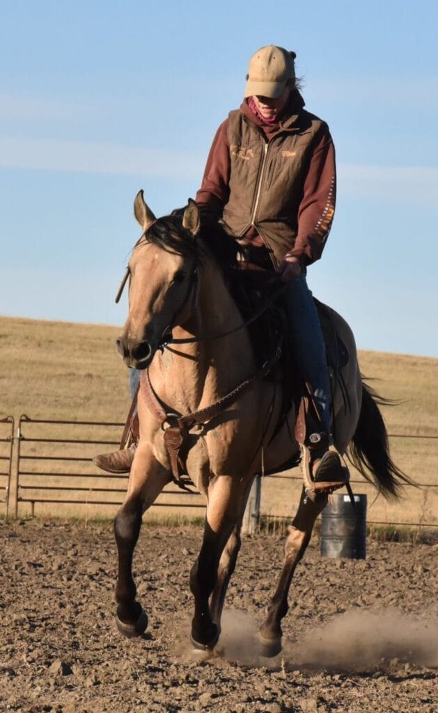2018 Red roan stallion. Sire: Freckles Ta Fame. Dam: Streakin French Grey Streak of Fling x French TJ Grey