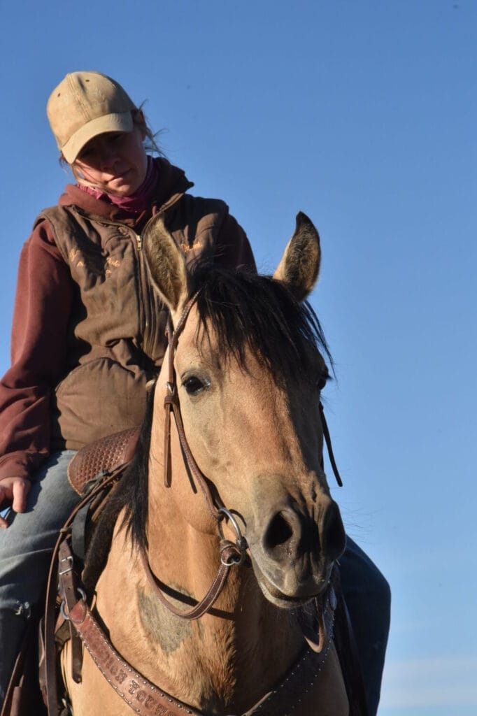 2018 Red roan stallion. Sire: Freckles Ta Fame. Dam: Streakin French Grey Streak of Fling x French TJ Grey