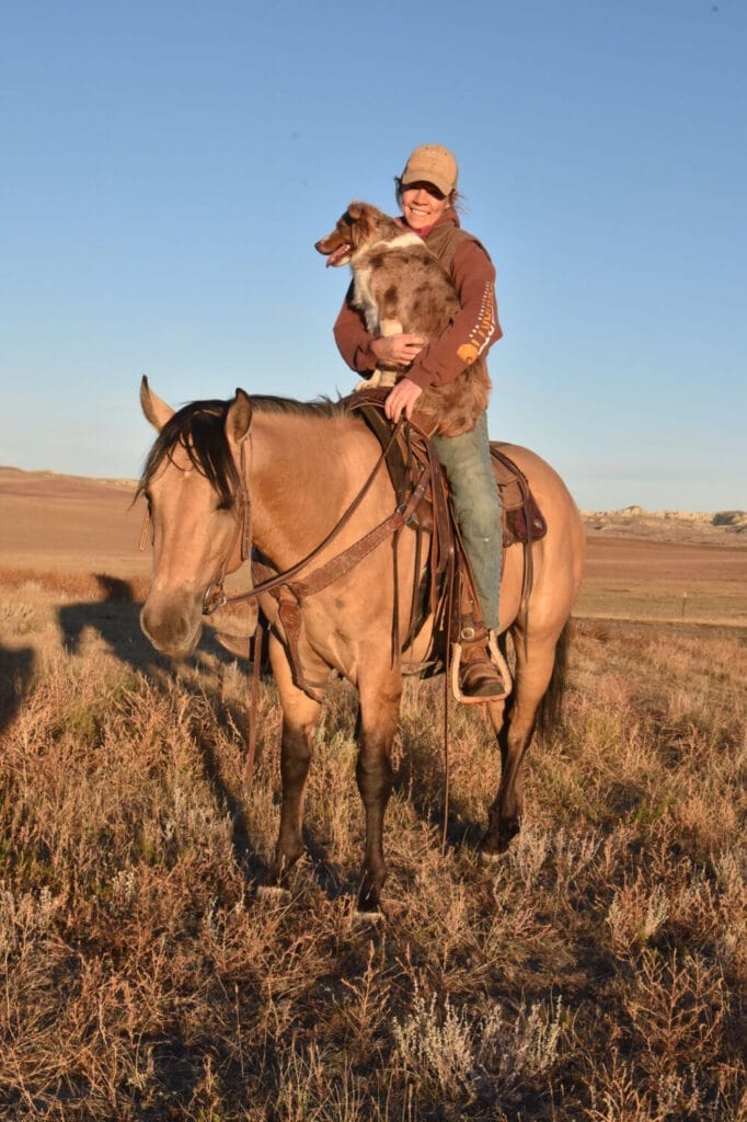 2018 Red roan stallion. Sire: Freckles Ta Fame. Dam: Streakin French Grey Streak of Fling x French TJ Grey
