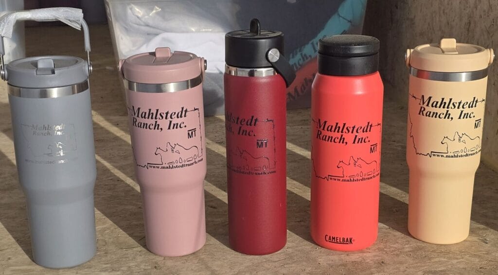 travel mugs with MRI logo