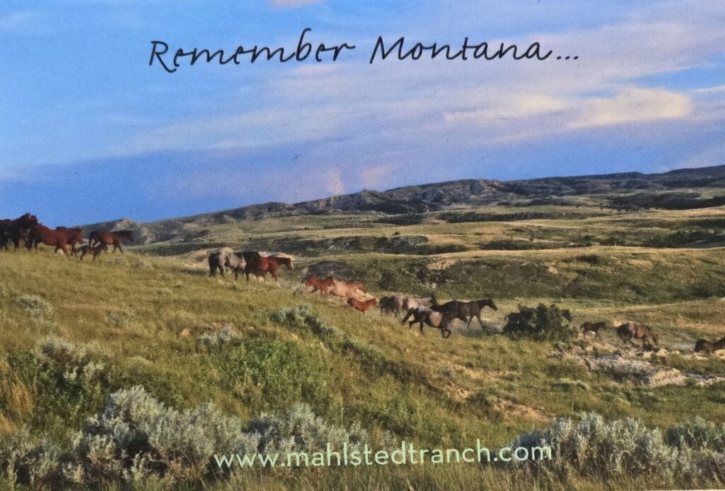Remember Montana magnet