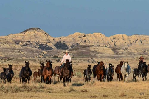 Riders and a herd of mares and foals against the backdrop of the eastern Montana badlands